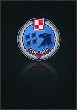 Projekt logo Centrum Operacji Powietrznych - Dowództwa Komponentu Powietrznego